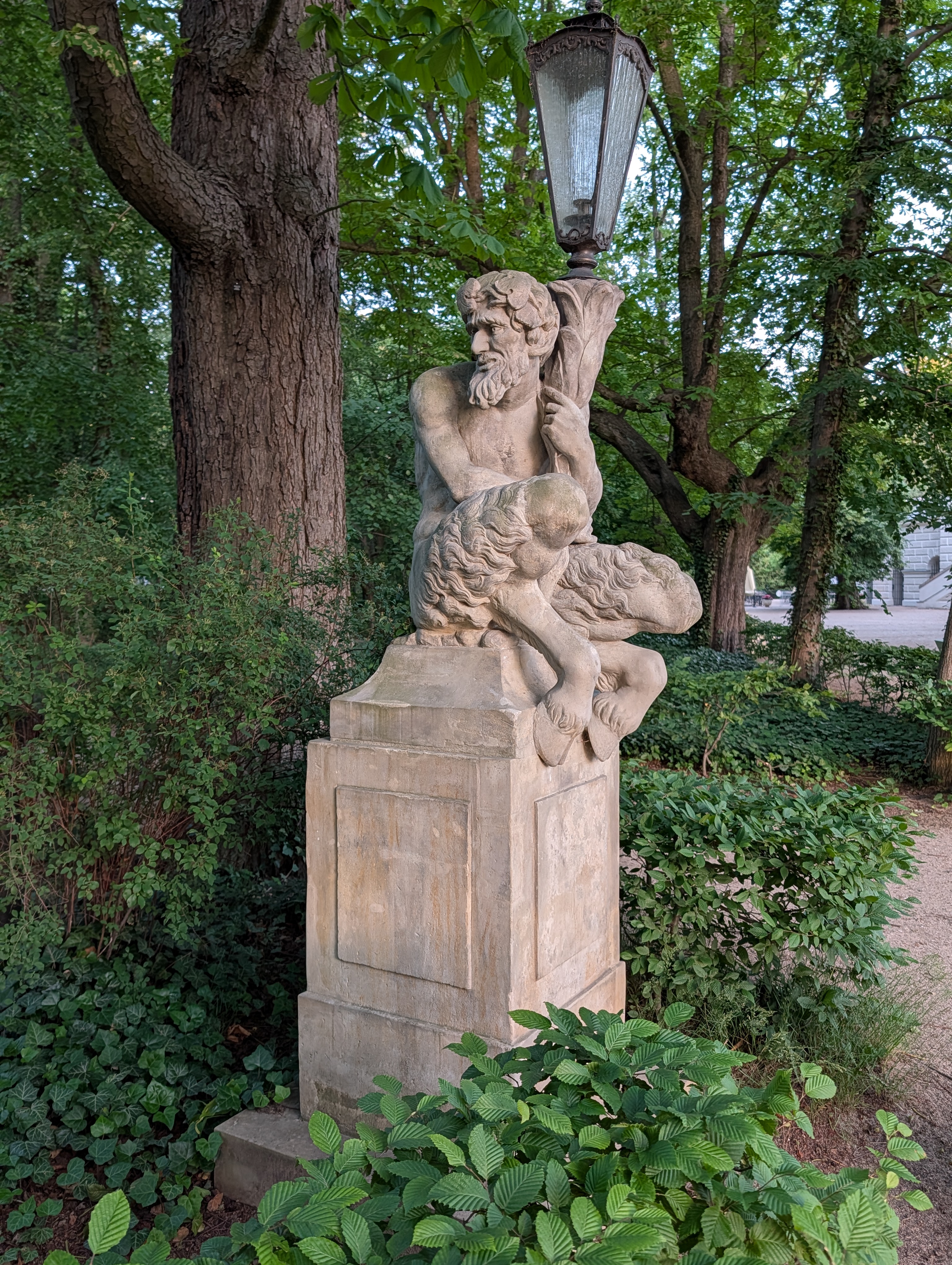 A peacock in the park