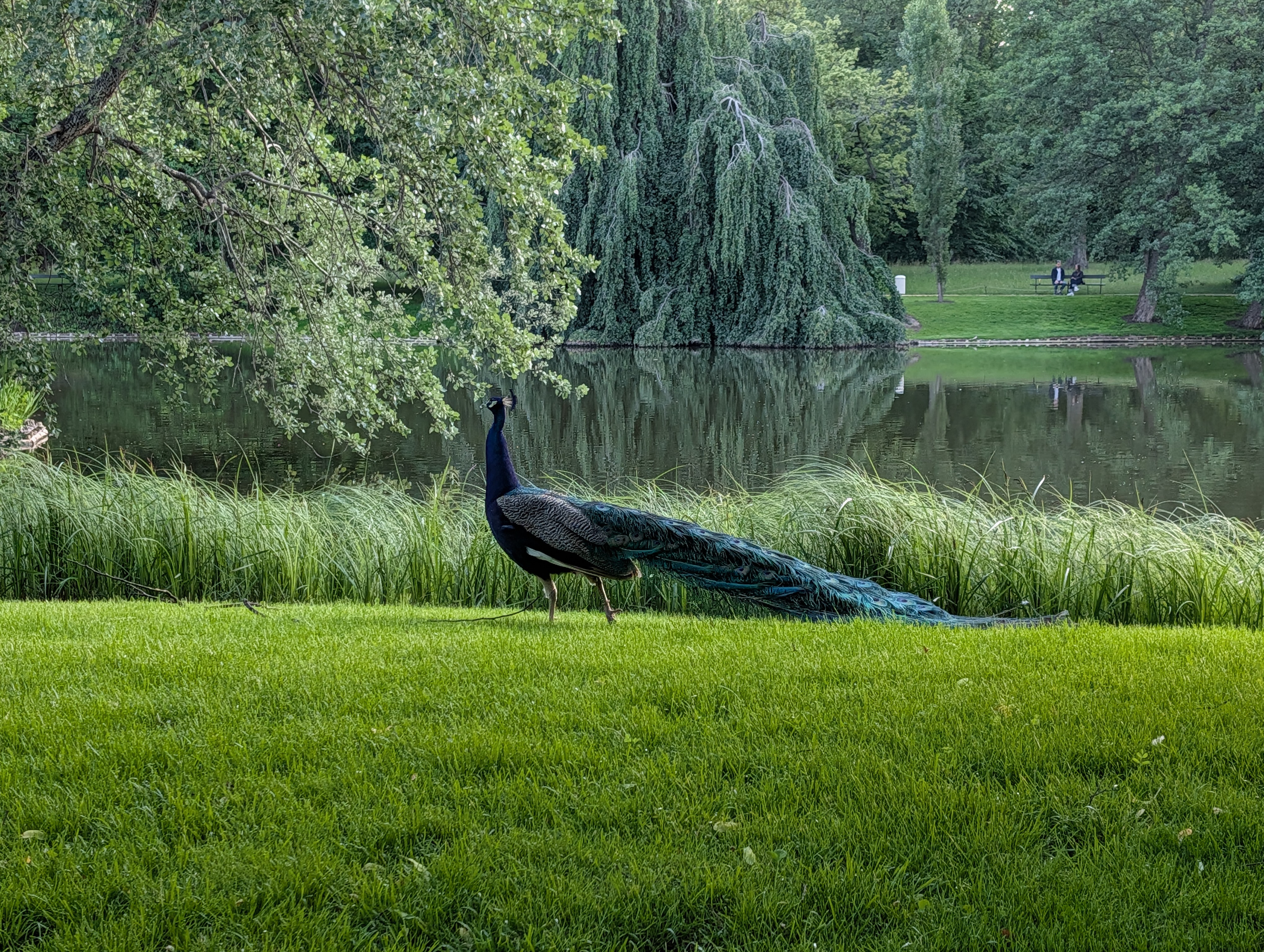 Statue of Pan